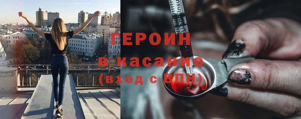 индика Новодвинск