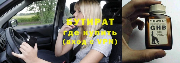 индика Новодвинск