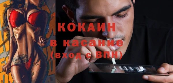 мдпв Новозыбков