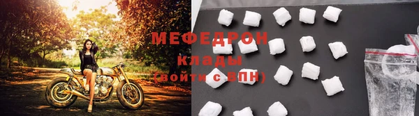 индика Новодвинск