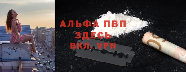 мдпв Новозыбков
