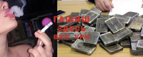 индика Новодвинск