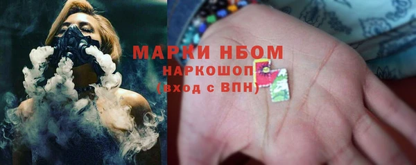 мдпв Новозыбков