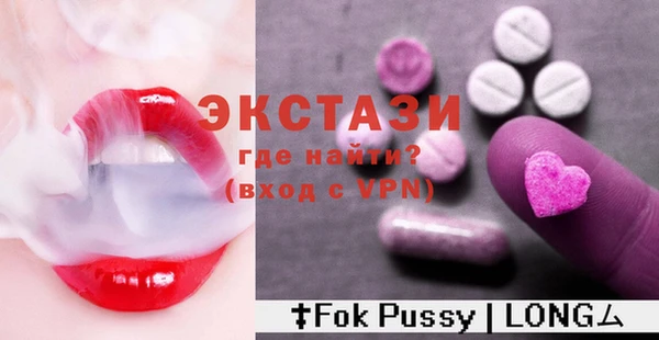 индика Новодвинск
