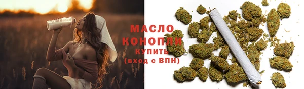 индика Новодвинск