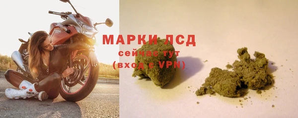 спиды Новокубанск