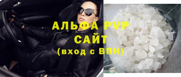 индика Новодвинск