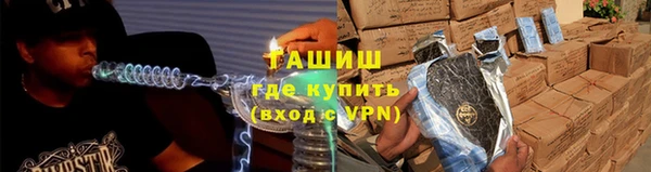 индика Новодвинск