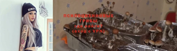 мдпв Новозыбков