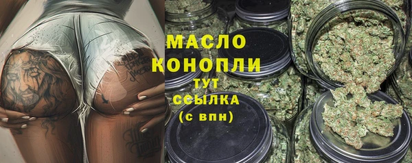 мдпв Новозыбков