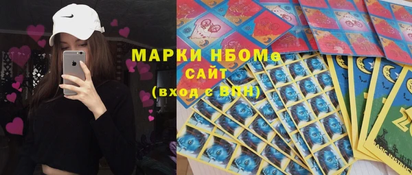 мдпв Новозыбков
