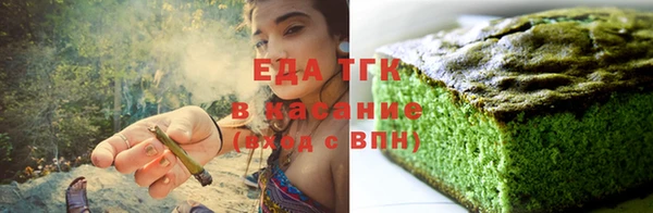 индика Новодвинск
