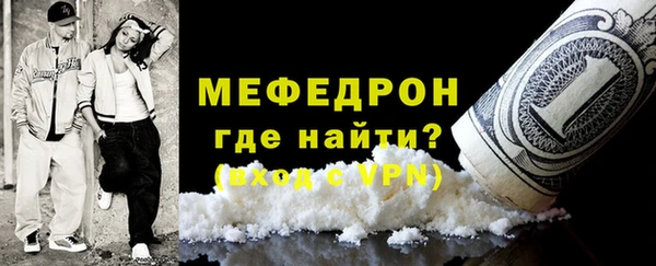 индика Новодвинск