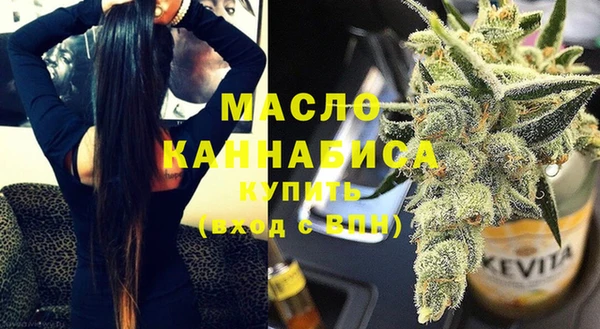 индика Новодвинск