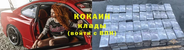 индика Новодвинск