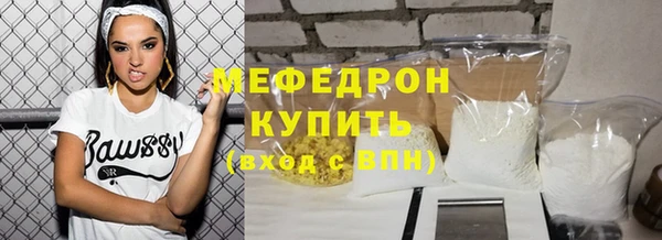 индика Новодвинск