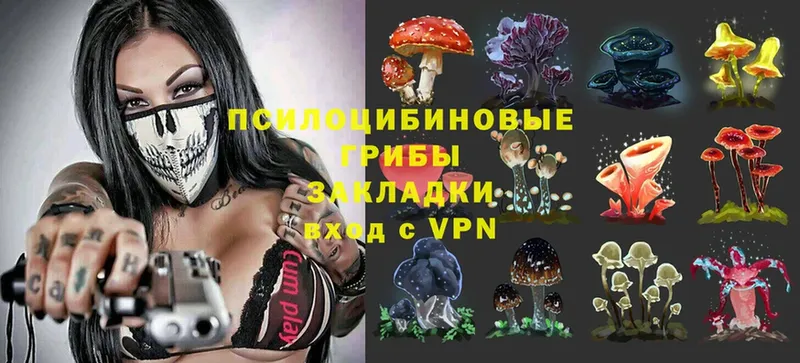 Псилоцибиновые грибы Magic Shrooms  купить   Кореновск 