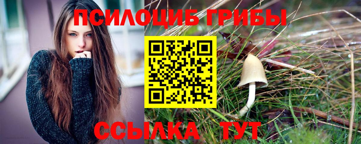 Кореновск  Псилоцибиновые грибы мухоморы  Вход с VPN 