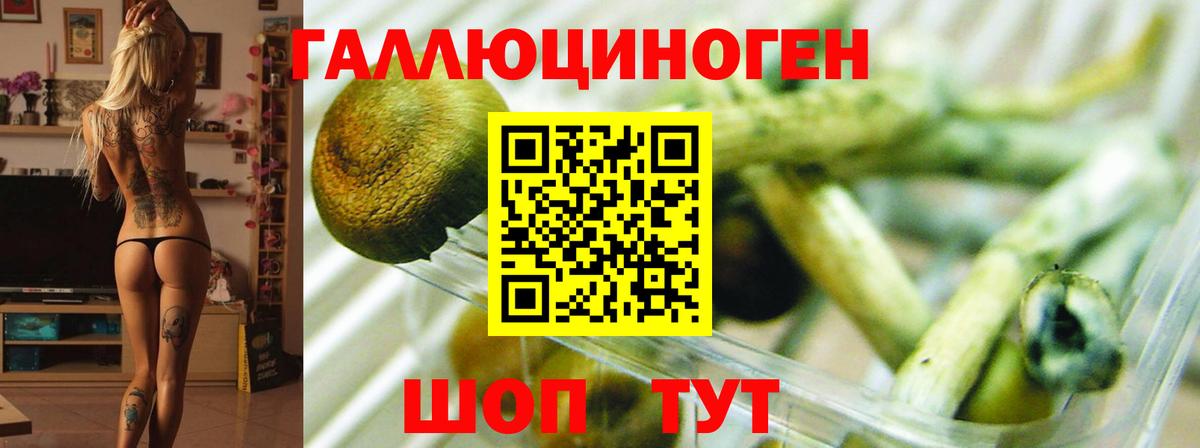 Галлюциногенные грибы MAGIC MUSHROOMS  Кореновск 